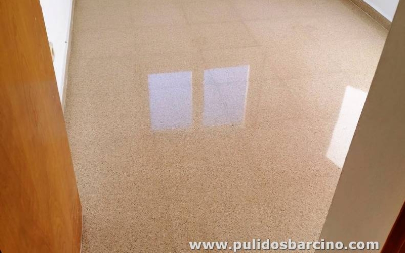 Terrazo pulir abrillantar vivienda 
